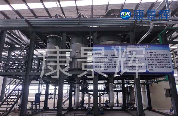 多效降膜蒸發(fā)器可以用來濃縮處理廢水，特別適合處理牛奶、淀粉、葡萄糖等食品廠廢水的加工處理中